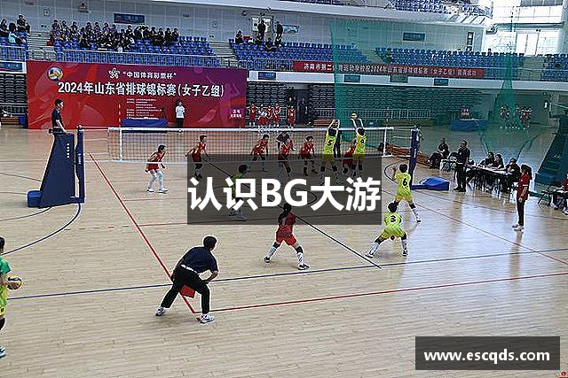 认识BG大游